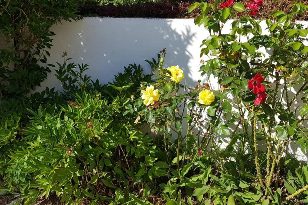 Villa Le Clos de Chacha à Carly Extérieur photo
